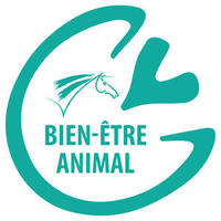 Logo Item
