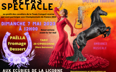 REPAS SPECTACLE EQUESTRE
