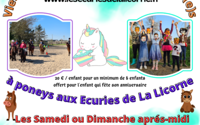 ANNIVERSAIRE A PONEY