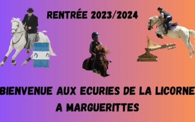 C’EST BIENTÔT LA RENTREE !!!
