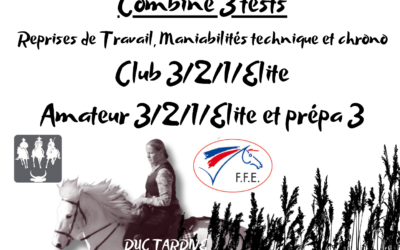 CONCOURS OFFICIELS EQUITATION DE TRAVAIL