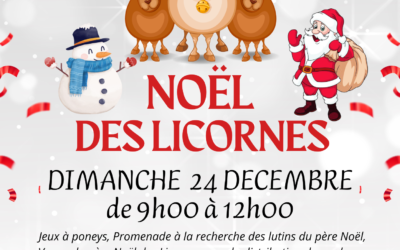 VACANCES DE NOËL CHEZ LES LICORNES